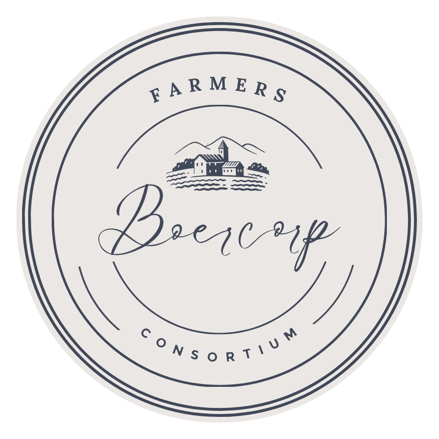 Primary Logo